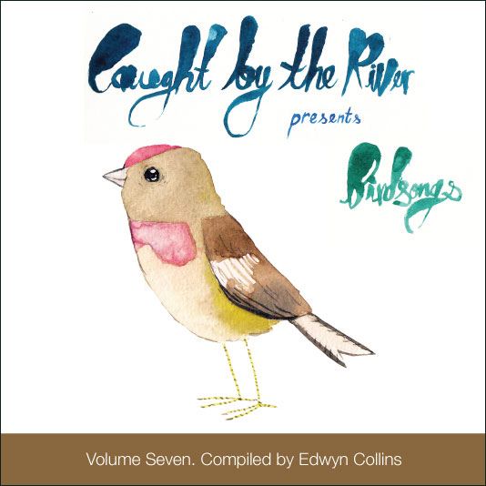 sub6_birdsongs7 sub6_birdsongs7