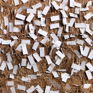 Circle of memory, Eleanor Coppola (Utställning Fotografiska, Sthlm)