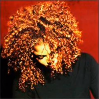 Janet Jackson - Special (Albumspår)