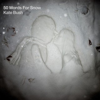 Kate Bush – 50 words for snow (Album)