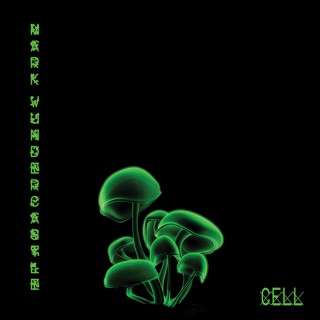 Mark Wundercastle - Cell (kassett)