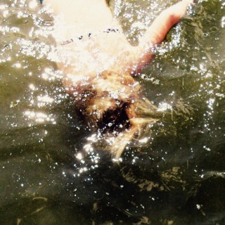 SHXCXCHCXSH – Linear S Decoded (album)