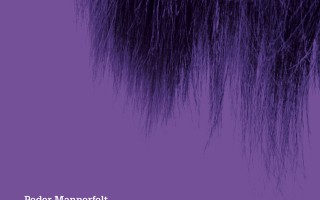 article-image