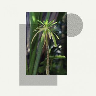 Stefan Jós - Primitives (album)