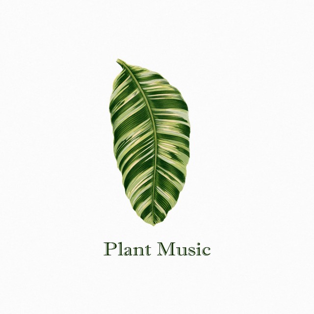 plant_music_cover