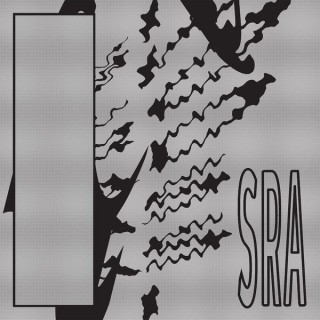 Silk Road Assassins  - Reflection Spaces (album)