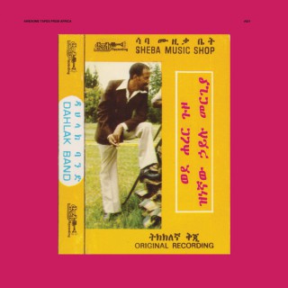 Hailu Mergia & Dahlak Band  - Wede Harer Guzo (album)